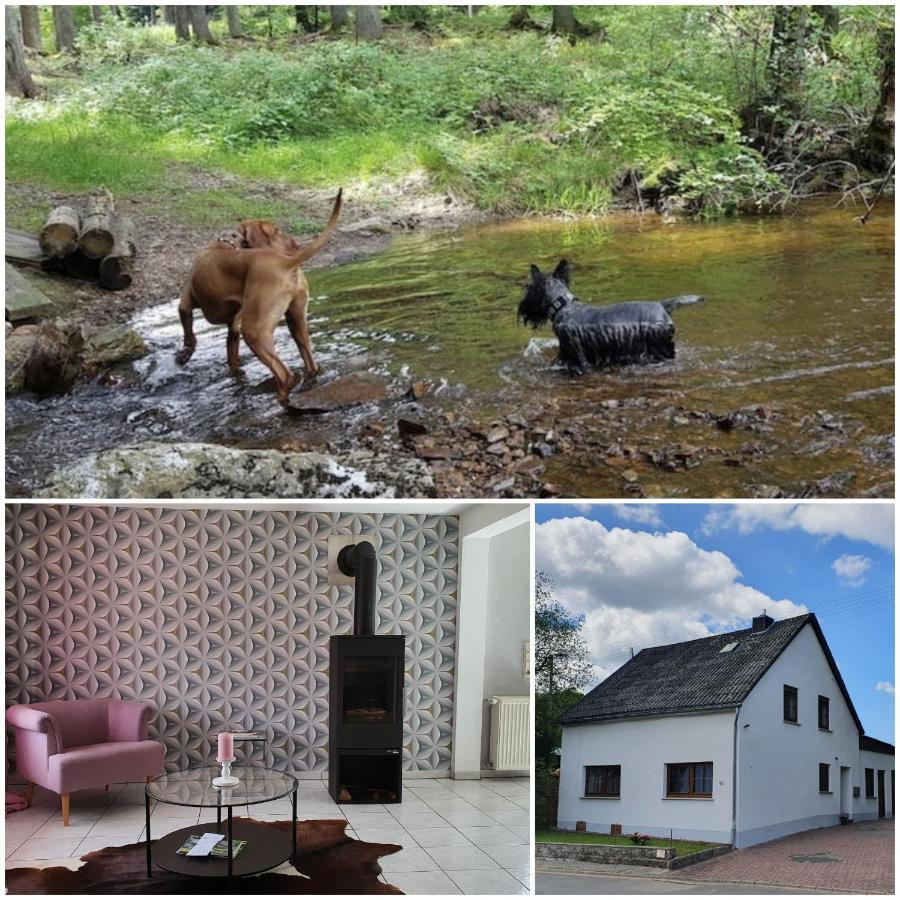 Nationalpark Ferienhaus Sophia-Luisa Borfink 외부 사진